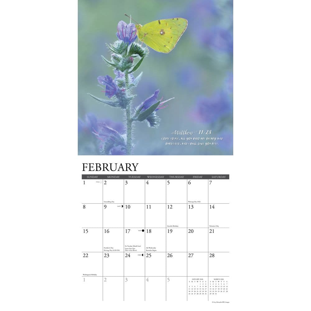 Gods Palette 2026 Wall Calendar Second Alternate Image