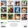 image Chihuahuas Just 2025 Wall Calendar