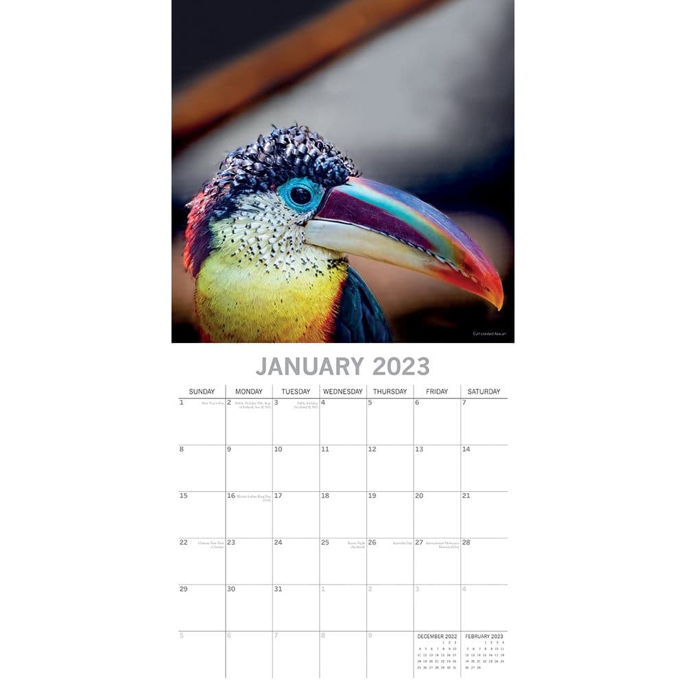 Birds Exotic 2023 Wall Calendar - Calendars.com
