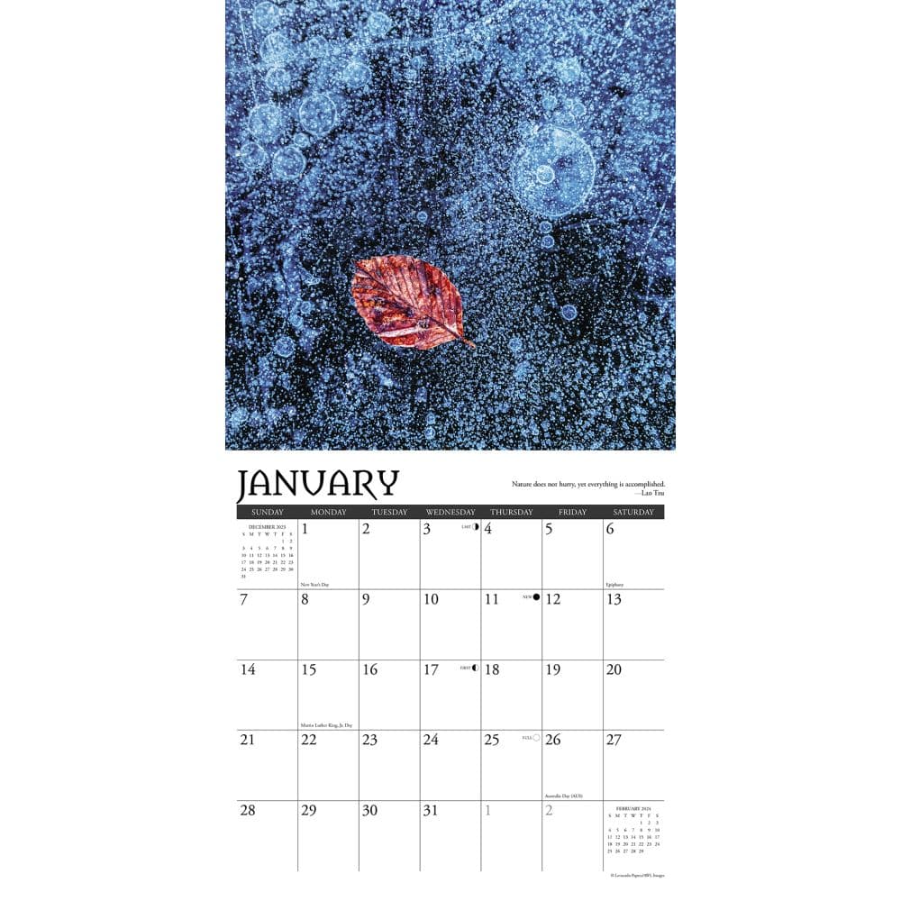 Zen 2024 Wall Calendar