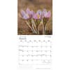 image Wildflowers 2026 Wall Calendar Second Alternate Image