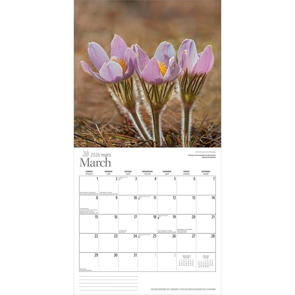 Wildflowers 2026 Wall Calendar Second Alternate Image