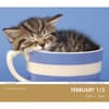 image Cat Naps 2025 Desk Calendar Third Alternate Image width=&quot;1000&quot; height=&quot;1000&quot;