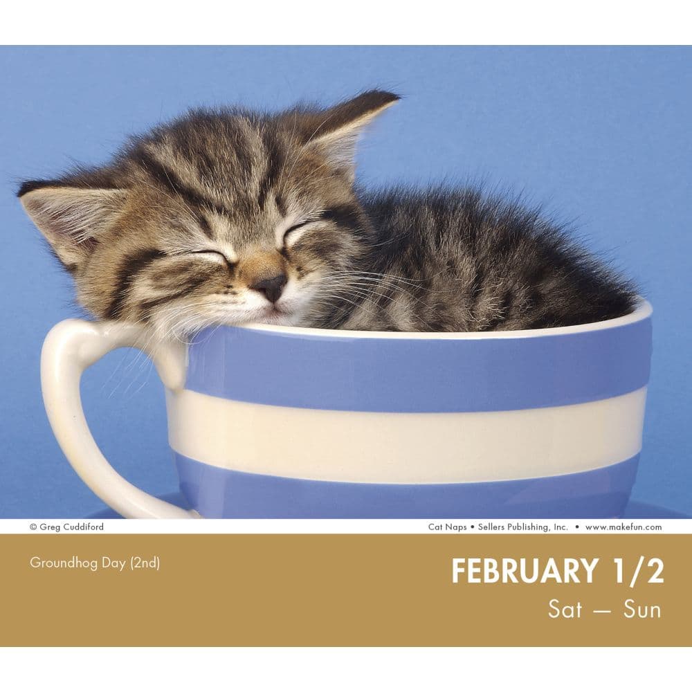 Cat Naps 2025 Desk Calendar Third Alternate Image width=&quot;1000&quot; height=&quot;1000&quot;