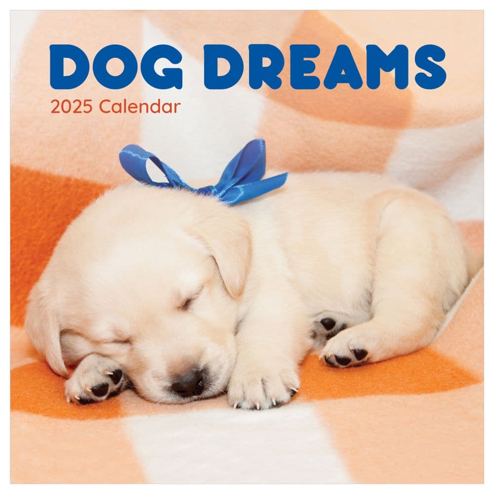 Dog Dreams 2025 Wall Calendar