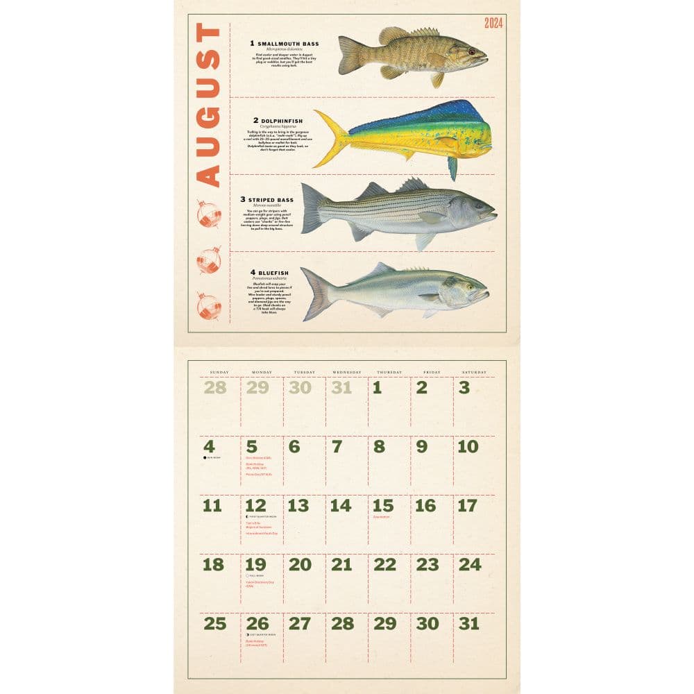 Fishing Illustrations 2024 Wall Calendar