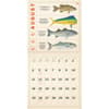 image Fishing Illustrations 2024 Wall Calendar August