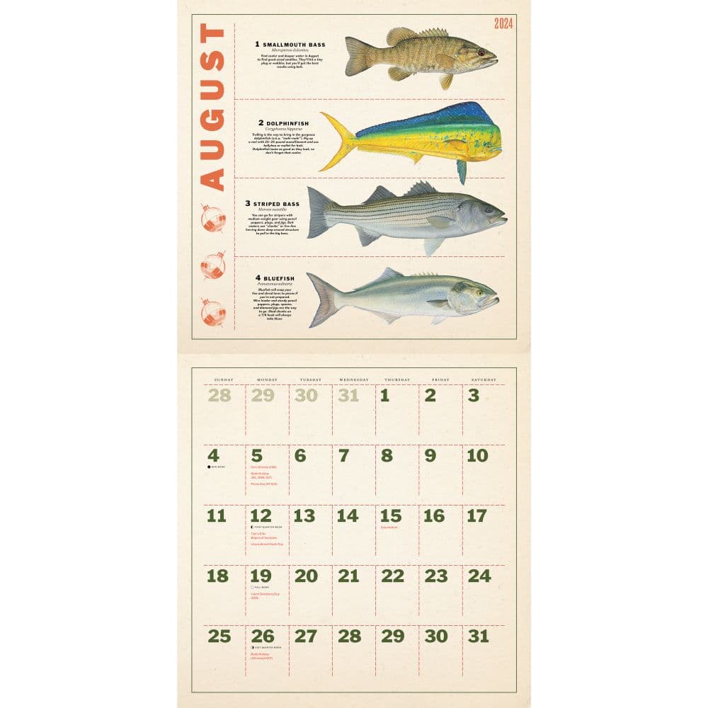 Fishing Illustrations 2024 Wall Calendar August