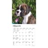 image Boxer Puppies 2024 Mini Wall Calendar Second Alternate Image width=&quot;1000&quot; height=&quot;1000&quot;