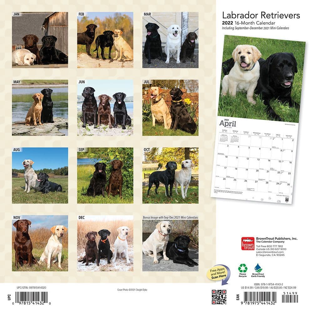 Labrador Retrievers 2022 Wall Calendar - Calendars.com