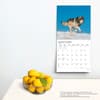 image Wolf Pack 2024 Wall Calendar Third Alternate Image width=&quot;1000&quot; height=&quot;1000&quot;