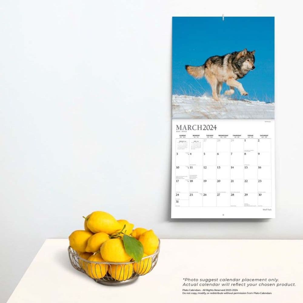 Wolf Pack 2024 Wall Calendar Third Alternate Image width=&quot;1000&quot; height=&quot;1000&quot;