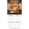 image Cats Photo 2025 Wall Calendar