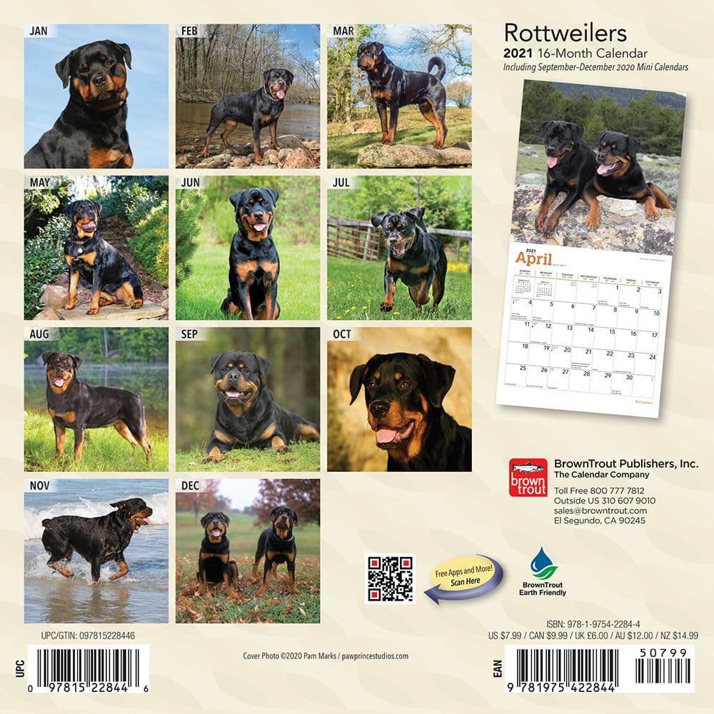 Rottweiler Mini Wall Calendar