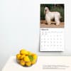 image Afghans 2024 Wall Calendar Third Alternate Image width=&quot;1000&quot; height=&quot;1000&quot;