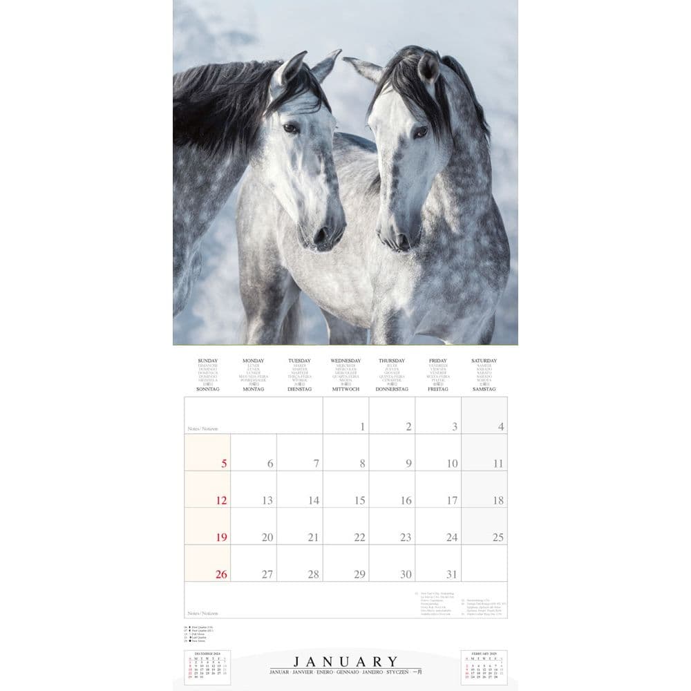 Magic Horses 2025 Wall Calendar Second Alternate Image width="1000" height="1000"