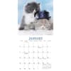 image Cats in Hats 2024 Mini Wall Calendar Alternate Image 2