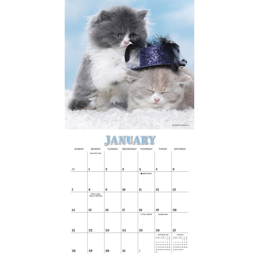 Cats in Hats 2024 Mini Wall Calendar Alternate Image 2