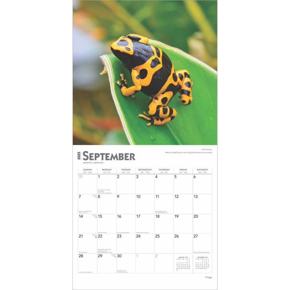 Frogs 2025 Wall Calendar Third Alternate Image width=&quot;1000&quot; height=&quot;1000&quot;