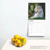 image White Tigers 2025 Wall Calendar Fourth Alt