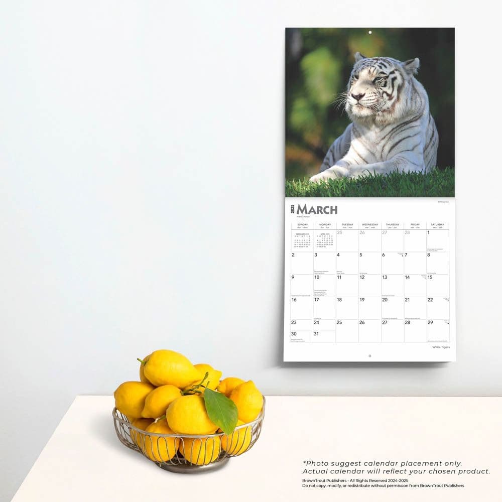 White Tigers 2025 Wall Calendar Fourth Alt