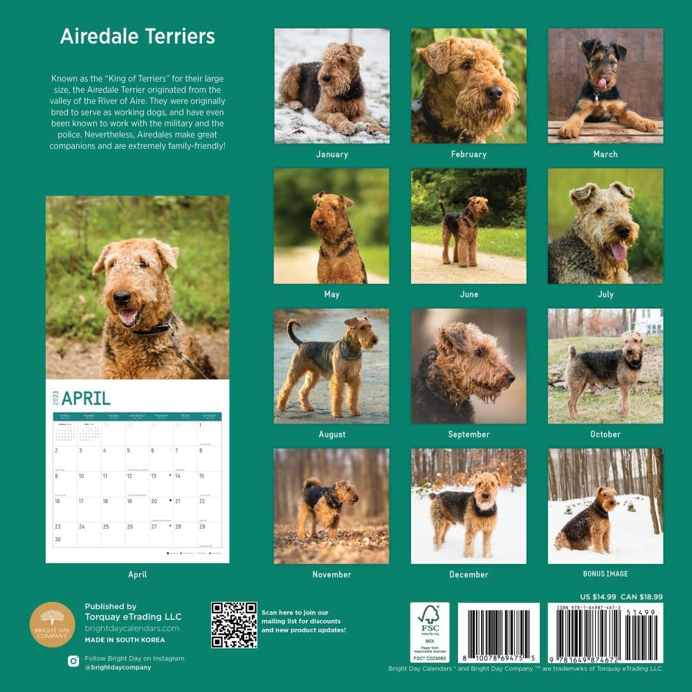 Airedale-Terriers-2023-Wall-Calendar - Calendars.com