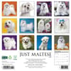 image Just Maltese 2026 Wall Calendar First Alternate Image