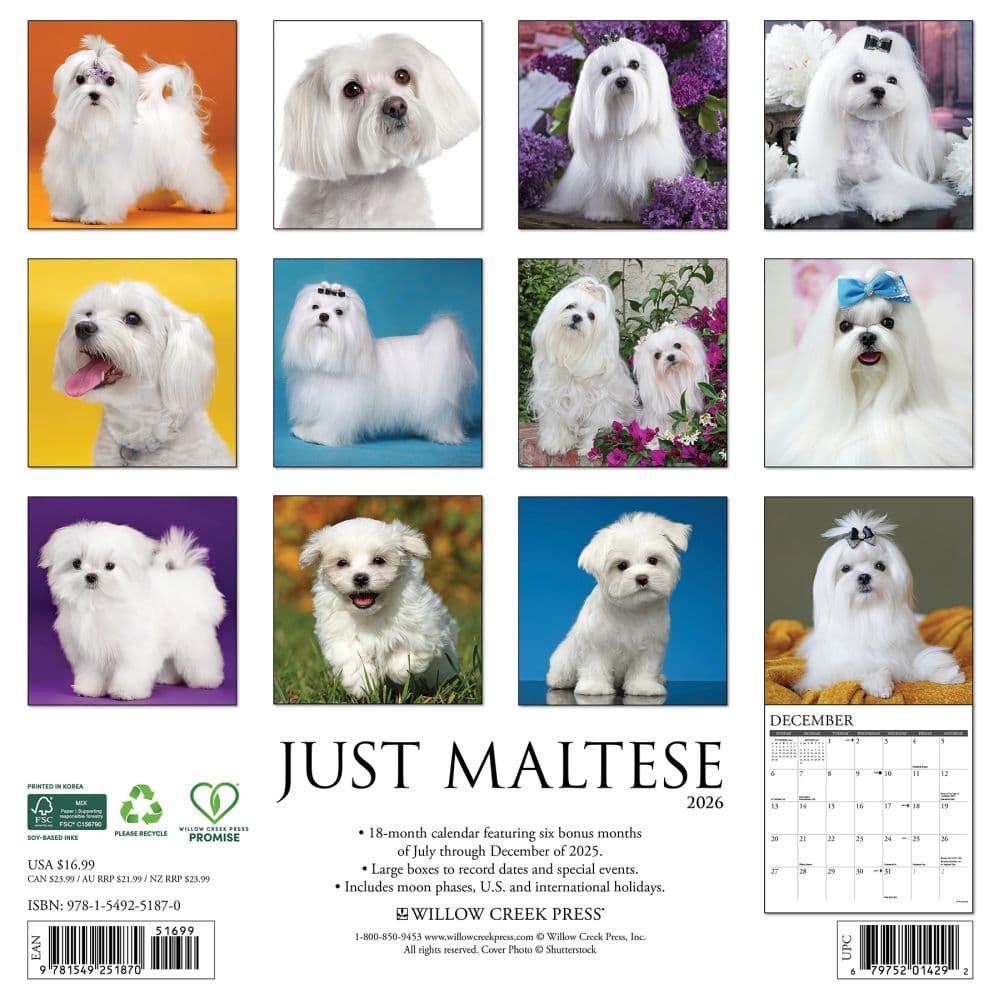 Just Maltese 2026 Wall Calendar First Alternate Image