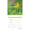 image Songbirds Special Value 2026 Wall Calendar Third Alternate Image