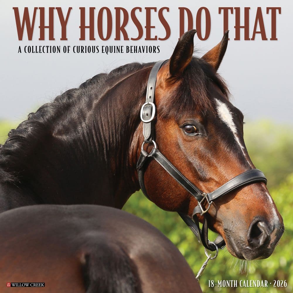 Why Horses Do That 2026 Wall Calendar Main Image