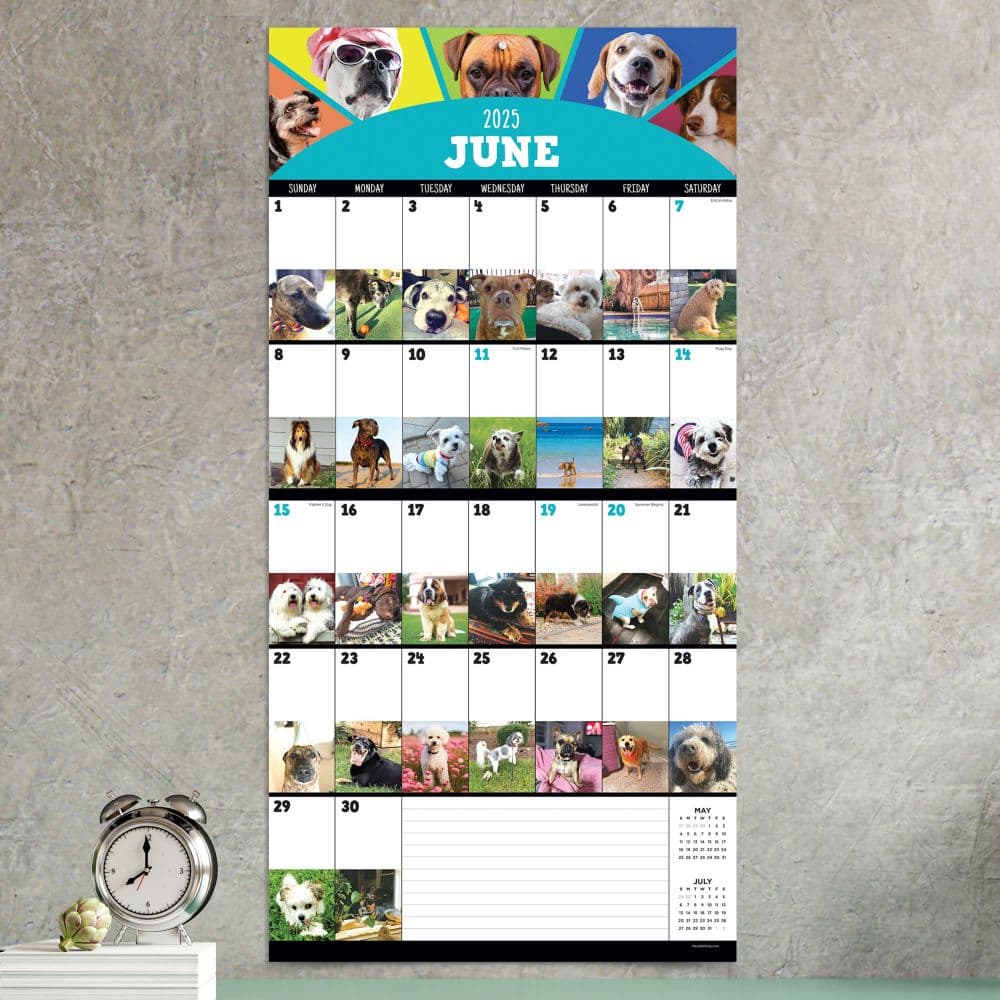 Dog A Day 2025 Wall Calendar Third Alternate Image