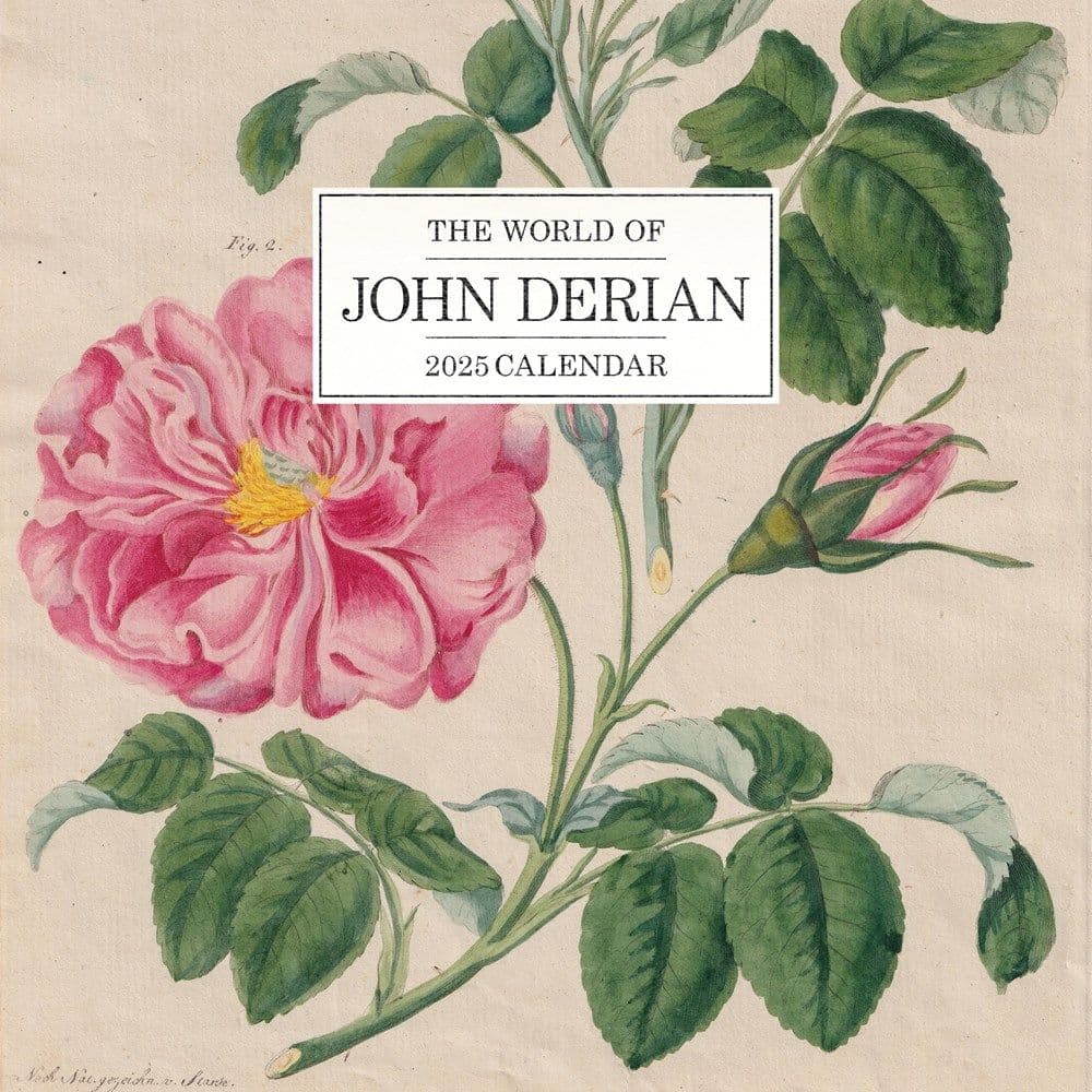 World of John Derian 2025 Wall Calendar Main Image