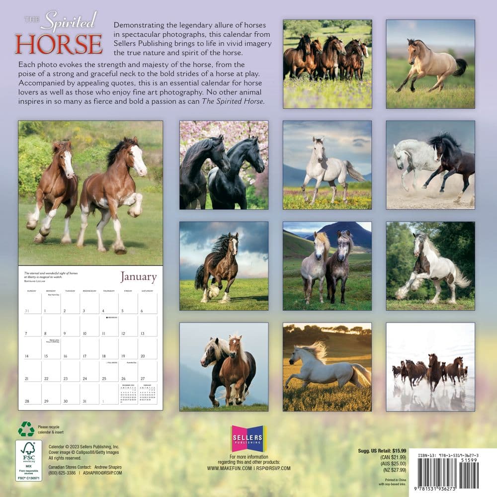 Spirited Horse 2024 Wall Calendar Alternate Image 1