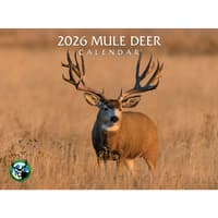 image Mule Deer 2026 Wall Calendar Main Product Image