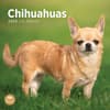 image Chihuahuas 2025 Wall Calendar Main Product Image