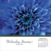 image Flowers 2025 Desk Calendar First Alternate Image