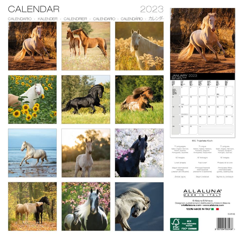 HORSES 2023 12 x 12 WALL CALENDAR - Calendars.com
