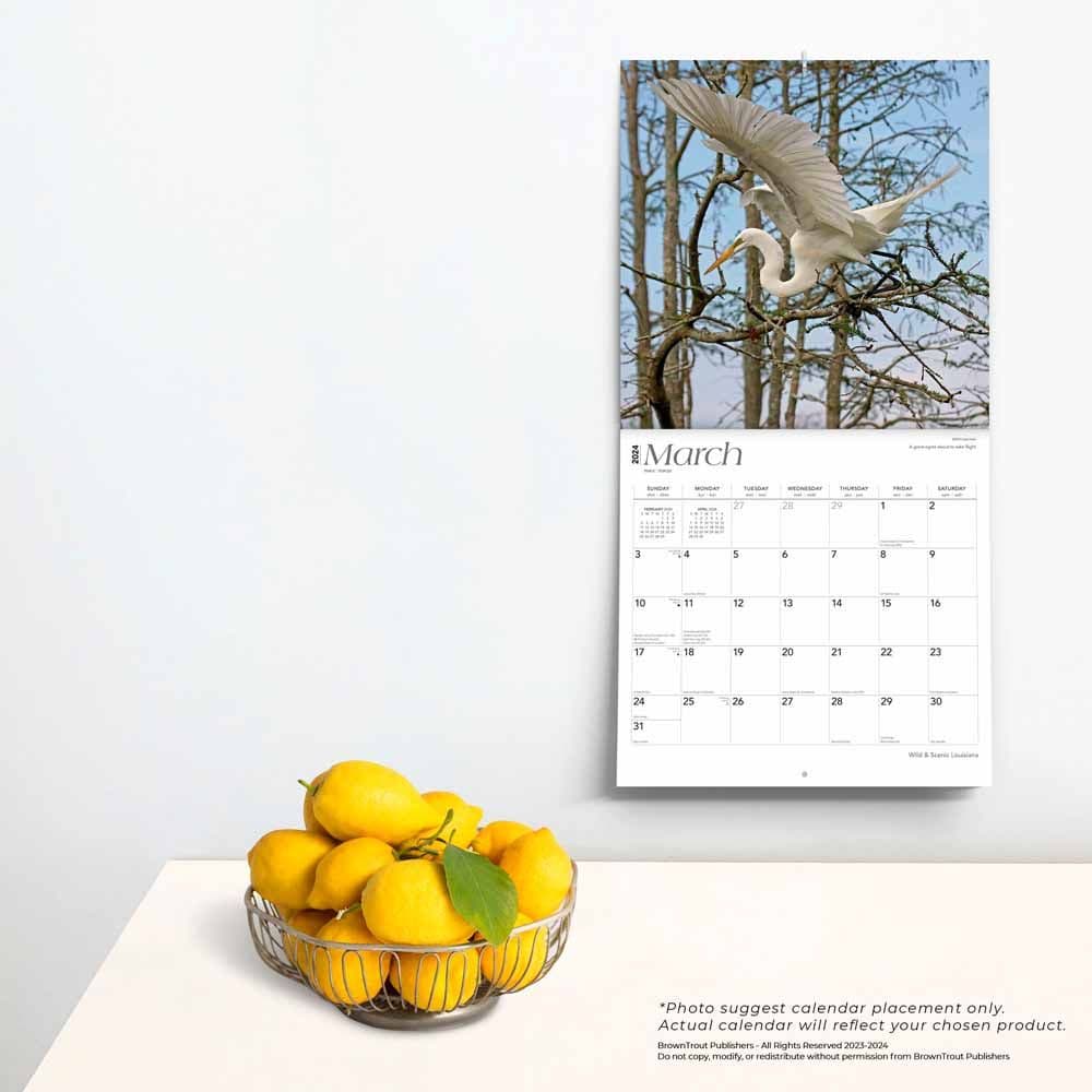 Louisiana Wild and Scenic 2024 Wall Calendar