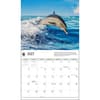 image Dolphins WWF 2025 Wall Calendar