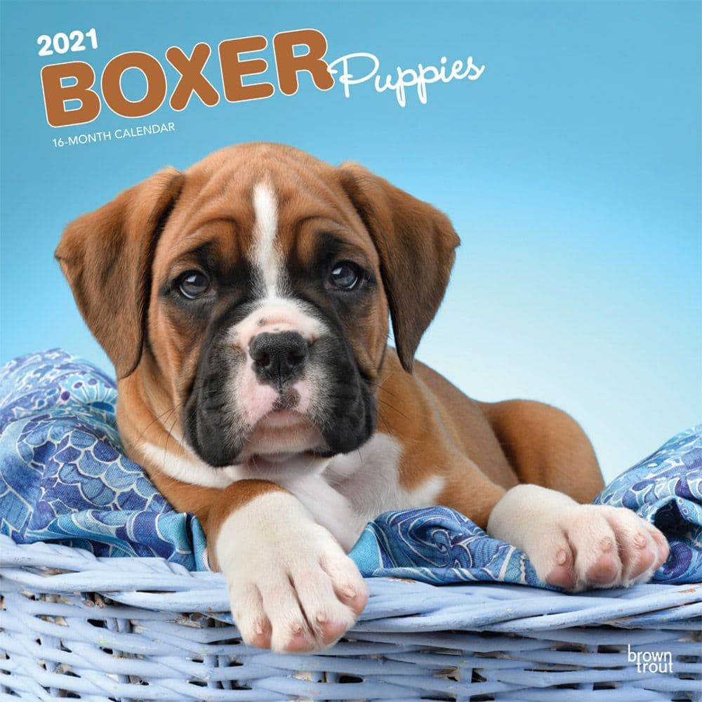 Boxer Puppies Wall Calendar