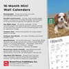 image Cavalier King Charles Puppies 2025 Mini Wall Calendar