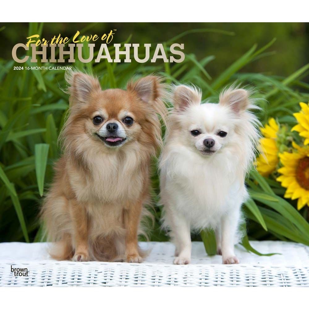 For the Love of Chihuahuas Deluxe 2024 Wall Calendar