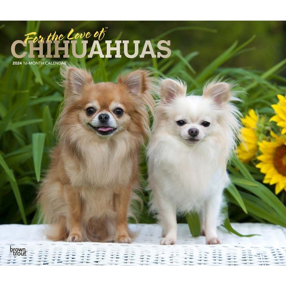 For the Love of Chihuahuas Deluxe 2024 Wall Calendar Main Product Image width=&quot;1000&quot; height=&quot;1000&quot;