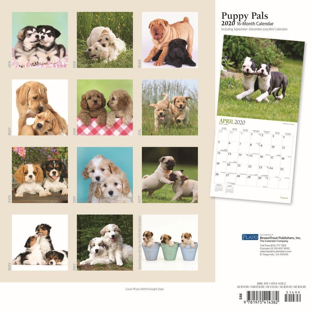 Puppy Pals Wall Calendar