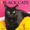 image Black Cats 2025 Mini Wall Calendar  Main Image