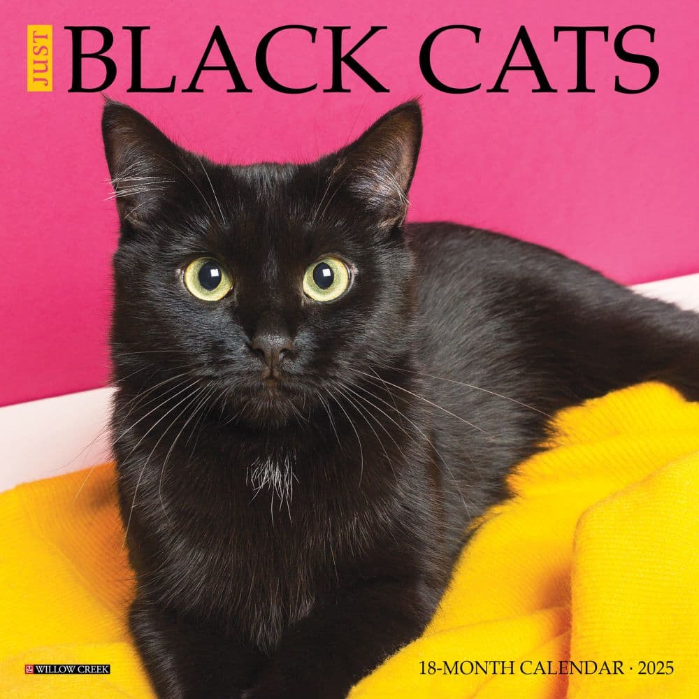 Black Cats 2025 Mini Wall Calendar  Main Image