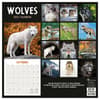 image Wolves 2025 Wall Calendar First Alternate Image