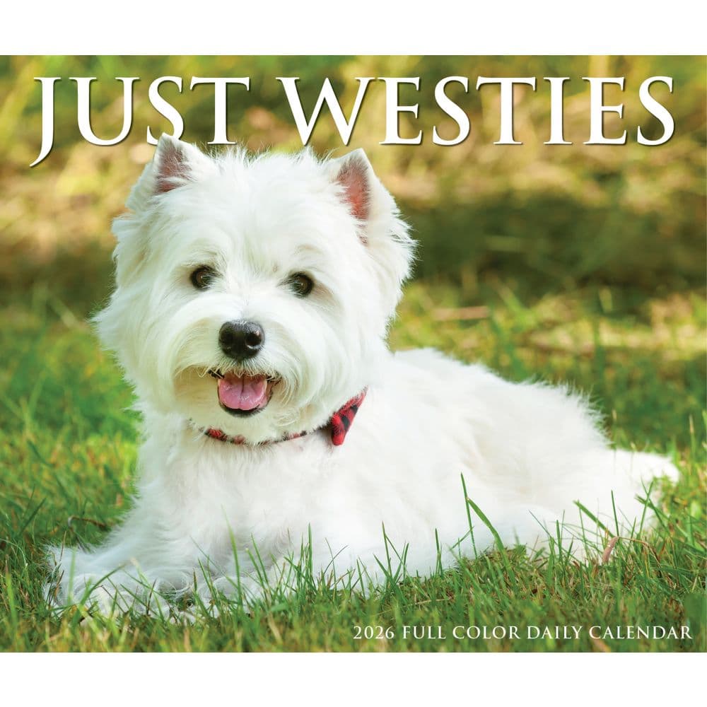 Just Westies 2026 Desk Calendar Fourth Alternate Image