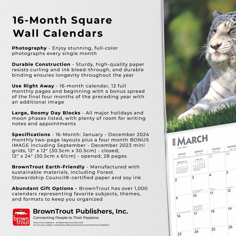 White Tigers 2025 Wall Calendar Fifth Alt