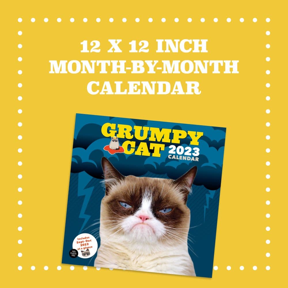 Grumpy Cat 2022 Wall Calendar 